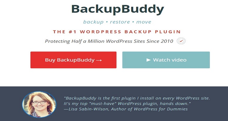 BackupBuddy