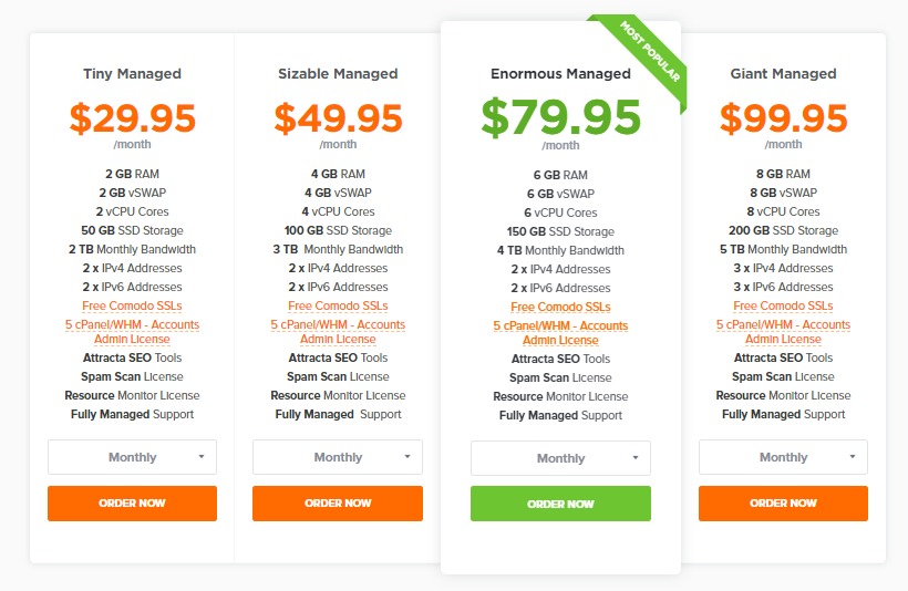 cPanel Fully Managed VPS pricing