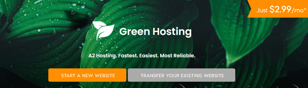 Green-Hosting-BEST-Green-Web-Hosting