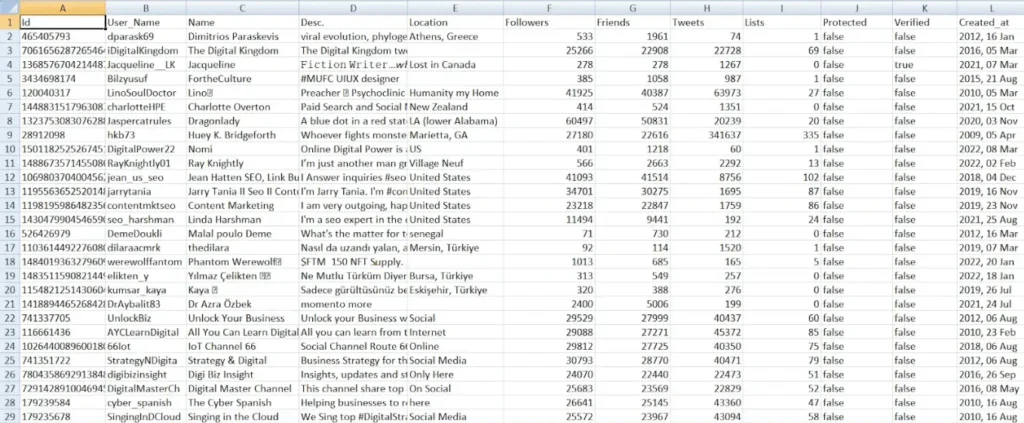 Twitter Followers List in Excel